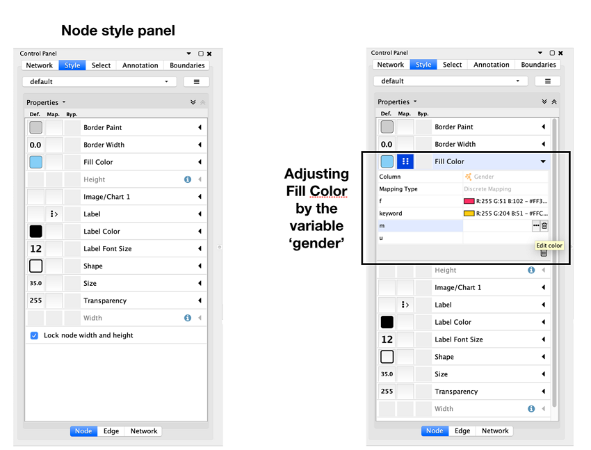 Figure 6. Setting style attributes for nodes and edges.